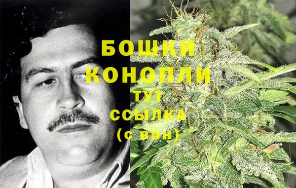 трава Алзамай