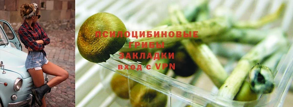 дживик Алексин