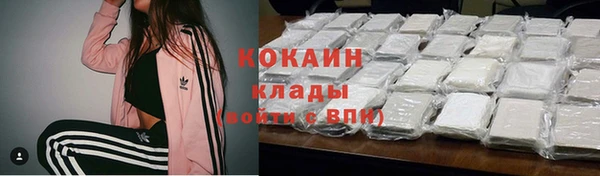 дживик Алексин