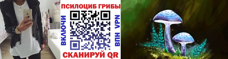 Псилоцибиновые грибы Psilocybe  Старый Оскол 